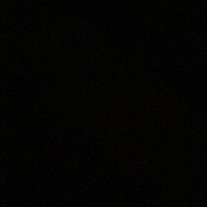 Meet your Posher, Chandler